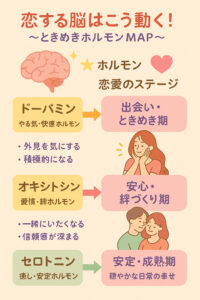 恋する脳はこう動く!
~ときめきホルモンMAP~